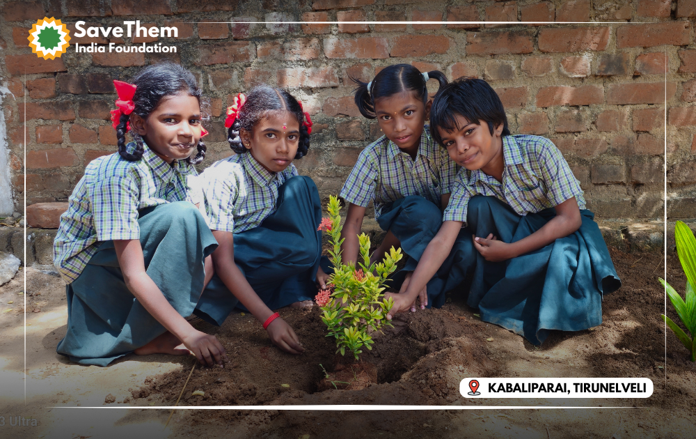 GreenVibes Initiative